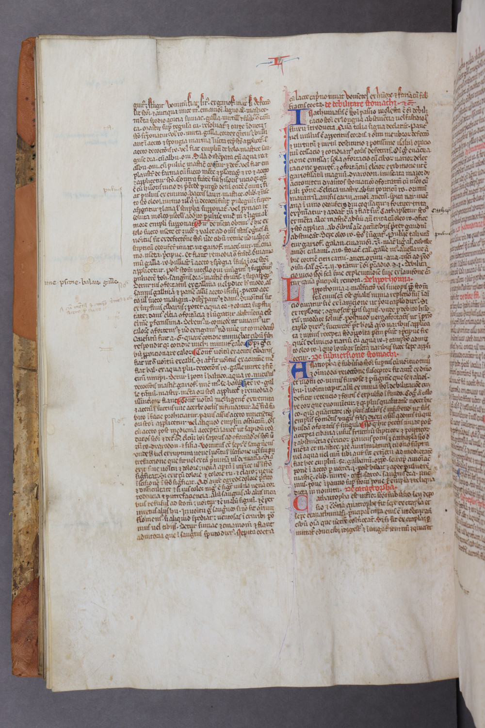 Folio 99 verso